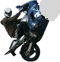 ny_avatar337_19.gif