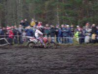 DSC01894.jpg