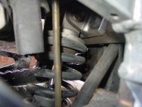 Resize of DSC03836.JPG