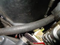 Resize of DSC03839.JPG