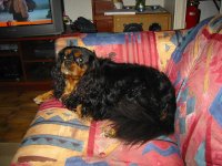 IMG_0023a.JPG