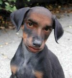 2059710882695275qFnDzSlId.jpg