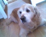 Bild 222.jpg