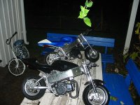 IMG_10333.JPG