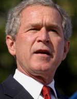 bushmellan.jpg