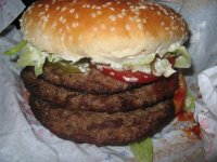 Bild 12233.JPG