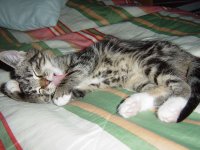 DSC02127-liten.jpg