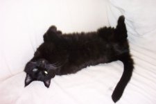 soffa.jpg
