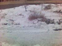 snow.jpg