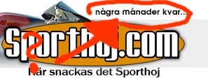 Vad menar Swedie.jpg