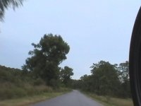 IMGA0926.JPG