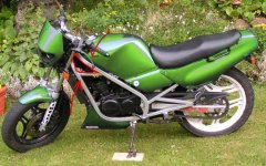nsvisa green.jpg