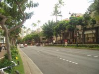 P1010010.jpg