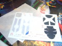 DSC01500 (Medium).JPG