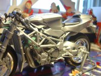 DSC01490 (Medium).JPG