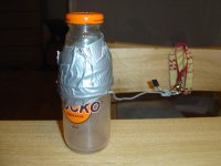 pucko.jpg