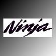ninja.jpg