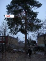 PICT0646.JPG