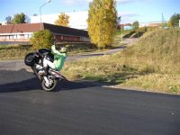 morls2 (Small).jpg