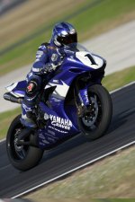 moto_gp_1.jpg