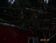 Storm0302.JPG