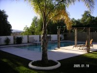 PICT0003.JPG
