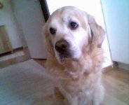Bild 215.jpg