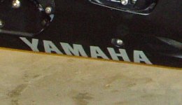 1220034.jpg