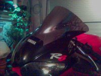 Bild(37).jpg