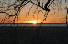 IMG_0935l.jpg