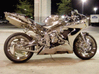 P1010109medium.GIF
