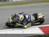 rossi.jpg