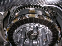 6 lamellerutanfjader.JPG