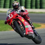 Bayliss01.jpg