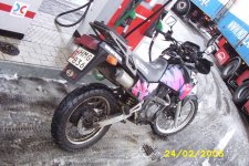 Dekal 019small.JPG