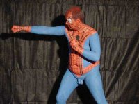Spiderman.jpg
