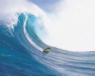 surfing.jpg