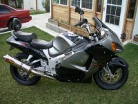 ABUSED_BUSA[1].jpg