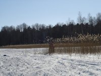 DSC00652....JPG