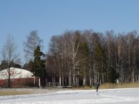 DSC00705....JPG