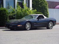 vette.jpg