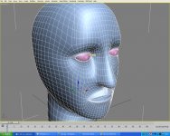 head_wip.jpg