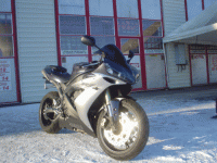 DSC01356.gif