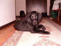 Bild 147.jpg