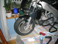 IMG_3161.JPG