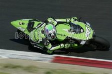 kawi.jpg