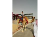 camel2.jpg