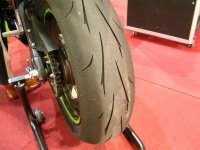 DSCN0667 (Large).JPG