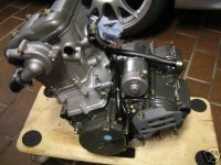 husky450.jpg