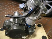 husku4501.jpg